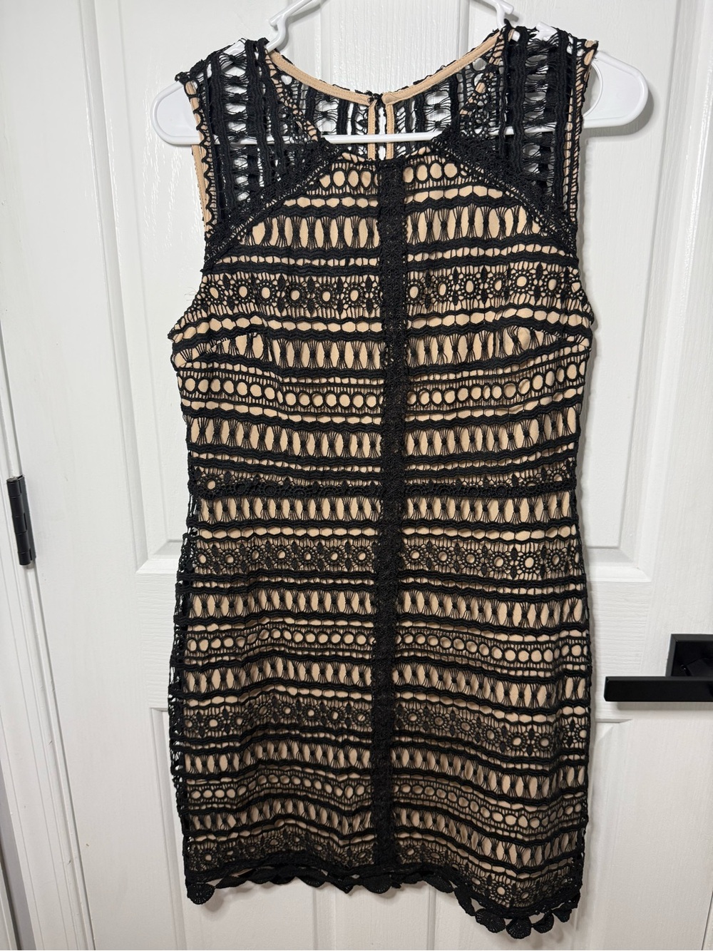 Francesca's Collections Black Lace Mini Dress with Nude Lining